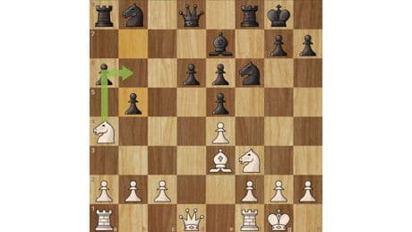 Schach: Schweizer Uhrwerk