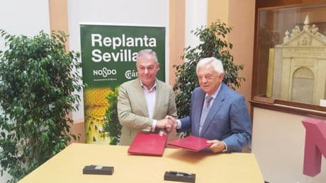 Sevilla lanza una web para que vecinos y empresas apadrinen árboles y llegar a 30.000 ejemplares en 2030
