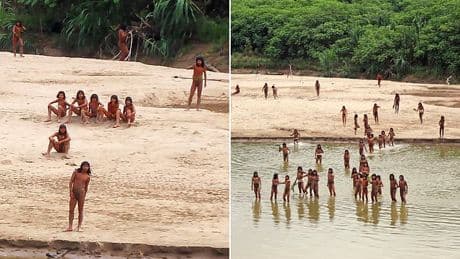 Fears uncontacted Amazon tribe could be wiped out by common COLD after encountering outsiders in nearby village
