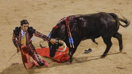 Morante de la Puebla recibe el alta hospitalaria tras la cornada que sufrió en una corrida en Pontevedra