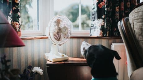Alufolie als Hitzeschutz: So senken Sie die Temperatur in Ihrer Wohnung