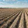 Code oranje voor droogte: waterbedrijven vragen om spaarzaam om te gaan met drinkwater