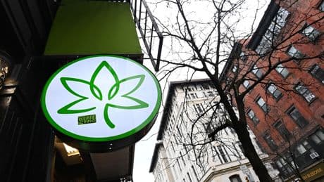 Easing cannabis restrictions would set back the ‘Golden Age’ . . . and boost China