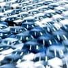 Studie: So stark sind die Gewinne der Autobauer eingebrochen