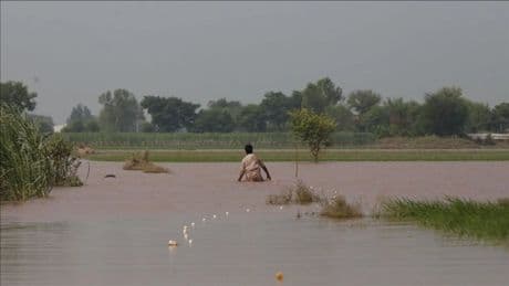 Pakistan’da muson yağışları 881 can aldı