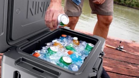 Ninja rivals Yeti with new FrostVault cooler perfect for summer bank holiday picnics