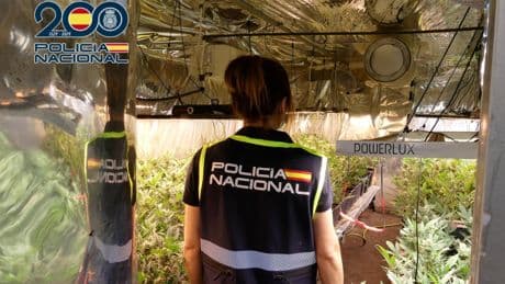 La Policía Nacional detiene a un hombre en Petrer por tráfico de drogas, tenencia ilícita de armas y defraudar fluido eléctrico