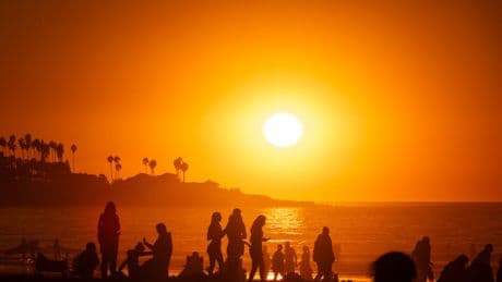 The Growing Significance of Climate Lawsuits