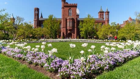 White House Reviewing Smithsonian Exhibitions to ‘Ensure Alignment’ With Trump’s Direction