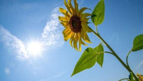 Wetteraussichten: Die Sonne ist zurück
