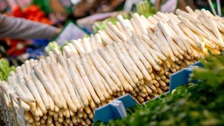 Landwirt schlägt Alarm - Das ist das Aus für deutschen Spargel