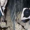 In neuem Propaganda-Video: Hamas zwingt Geisel, eigenes Grab zu schaufeln