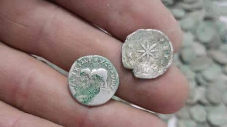 Auf einer Wiese - Schatzsucher entdeckt 1500 römische Münzen