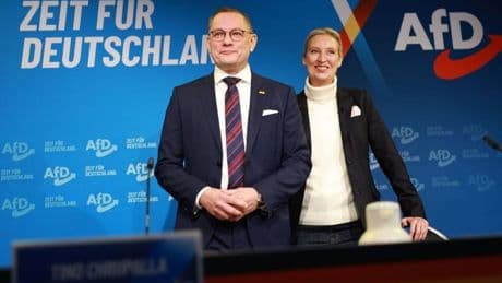 El partido ultra alemán AfD denuncia a los servicios de Inteligencia