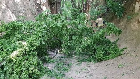 Korzeniowy Dol Gorge: Multiple children injured after huge branch falls off tree