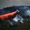 Viele Brände nach Hitzewelle: Naturbrand rückt auf Marseille zu - Feuerwehr im Großeinsatz