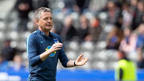 Akademieleiter gesucht - Hertha sagt Widmayer ab, Ibisevic jetzt Favorit