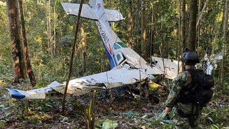 How four children survived a plane crash that killed every adult on board