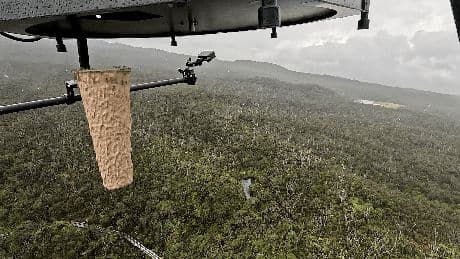 Scientists are dropping live mosquitoes out of drones in Hawaii. Here’s why.