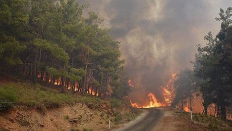İzmir'de ormanlık alanlara giriş yasağı: 1 Haziran - 31 Ekim