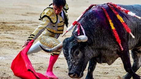 Al Alimón: Arranca la última semana de San Isidro 2025 con una &quot;tarde de sustos&quot;