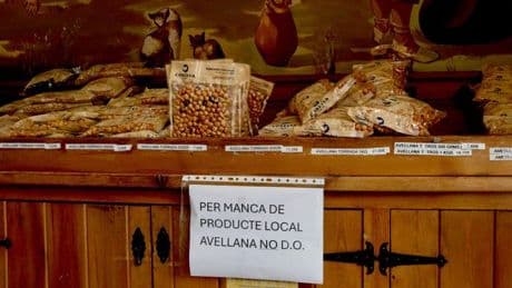 El Camp de Tarragona se ve abocado a vender avellana de fuera por la falta de producto local