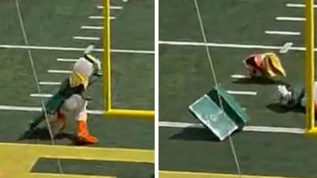 Oregon Ducks mascot trips and loses his head before running off field
