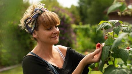 Haben Sie sicher zu Hause: Welcher simple Dünger Himbeeren gut wachsen lässt