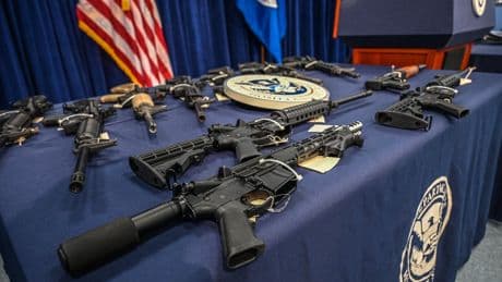 Chinese man living illegally in US pleads guilty to smuggling weapons to North Korea