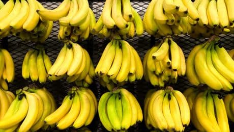 Bananen extrem: Warum zehn Stück am Tag riskanter sind, als Sie denken