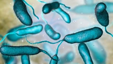 Warning to Brits after flesh-eating bacteria disease confirmed in holiday hotspot