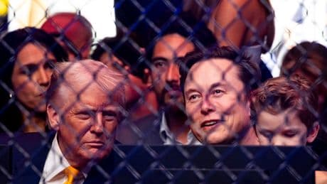 Tesla, SpaceX und X : Trump-Freund Musk profitiert von EU-Geldern in Millionenhöhe
