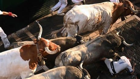 Sin heridos de asta de toro en el sexto encierro de Sanfermines, pero con susto final en la plaza