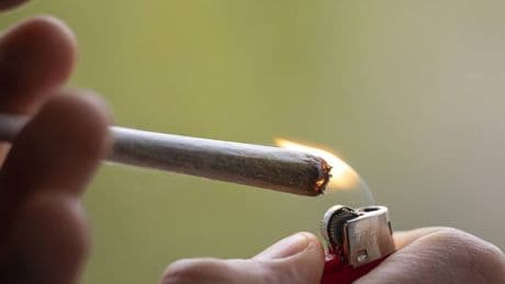 Mediziner warnen vor Gefahren: NRW drängt auf Verbot von Cannabis