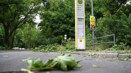 Nach Unwetter Ziros: So viel muss Spandau für den Sturm zahlen