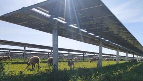Endesa: más capacidad renovable y biodiversidad en su nuevo plan a 2027