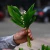 1er-Mai : les règles à respecter pour vendre du muguet