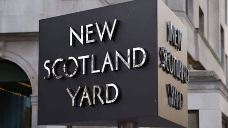 Two teenagers arrested over torture and killing of kittens in west London