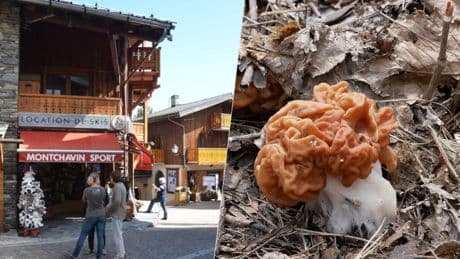 Un pueblo francés tiene que lidiar con una incidencia sorprendente de ELA. El principal sospechoso es un hongo