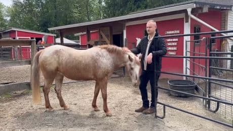 B.C. rescue organization for senior, special needs animals fundraising for new home