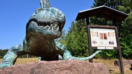 Fossillagerstätte: Land fördert in diesem Jahr Bromacker-Forschung weiter