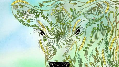Do We Need Another Green Revolution?