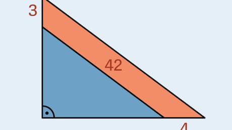 Rätsel der Woche: Wie groß ist das blaue Dreieck?