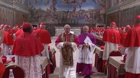 Watch how cardinals celebrated Pope Leo XIV being chosen in rare Conclave video