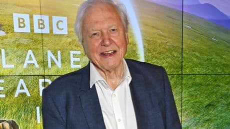 Exciting news David Attenborough fans – his next TV series is ‘weeks away’