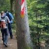VIDÉO. "Il est placé le plus tard possible" : le défi du balisage d'un parcours de trail