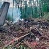 Flugzeugabsturz: Russland: Flugschreiber der Absturzmaschine gefunden