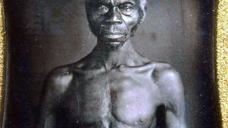 Harvard Relents After Protracted Fight Over Slave Photos