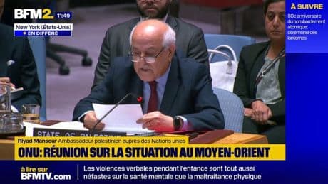 Reconnaissance de l'État de Palestine: "le témoin d'un appui en faveur du droit et de la paix", selon l'ambassadeur palestinien à l'ONU