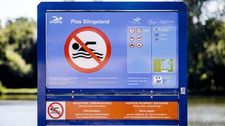 Veiligheidswaarschuwingen voor zwemwater op 164 plekken: 'Doe vooraf onderzoek'
